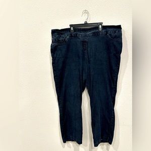 Westbound Woman Blue Jeans, 24W.